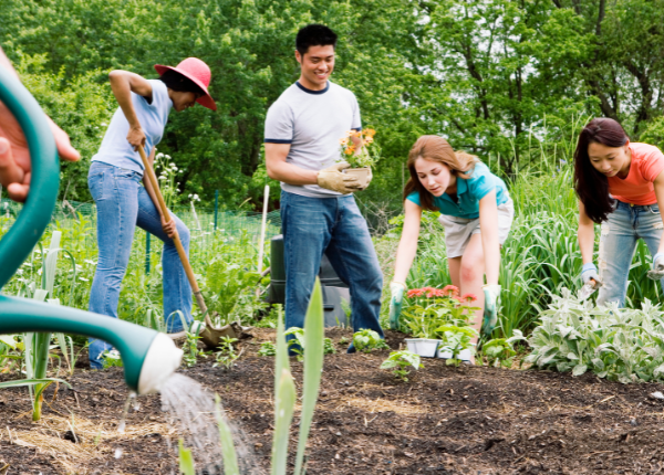 Growing Together in the Garden Community 🌿🌱