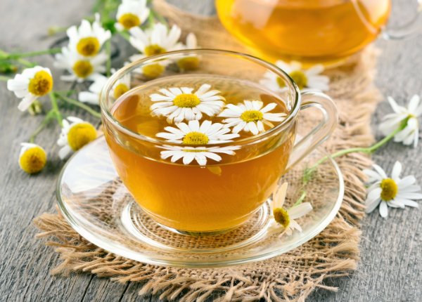 Sip, Grow, and Bloom: A Comprehensive Guide to Cultivating Your Own Tea Garden 🍵🌿