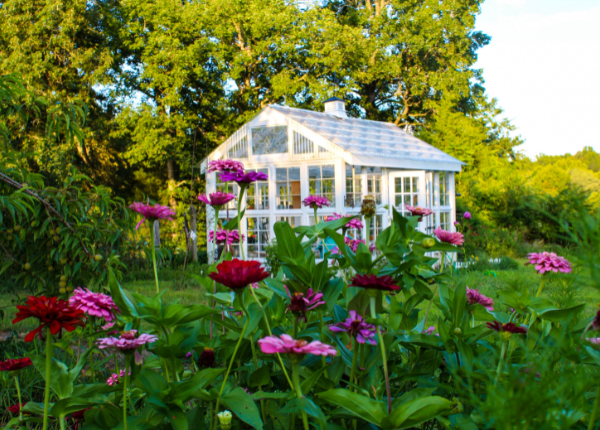 Crafting the Dream: Essential Elements for the Ultimate Garden Greenhouse