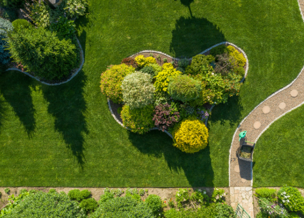 Transform Your Garden into a Low-Maintenance Paradise with These 25 Hardy Plants 🌿🌸