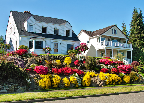 Elevate Your Front Yard: Creating Stunning Planting Arrangements