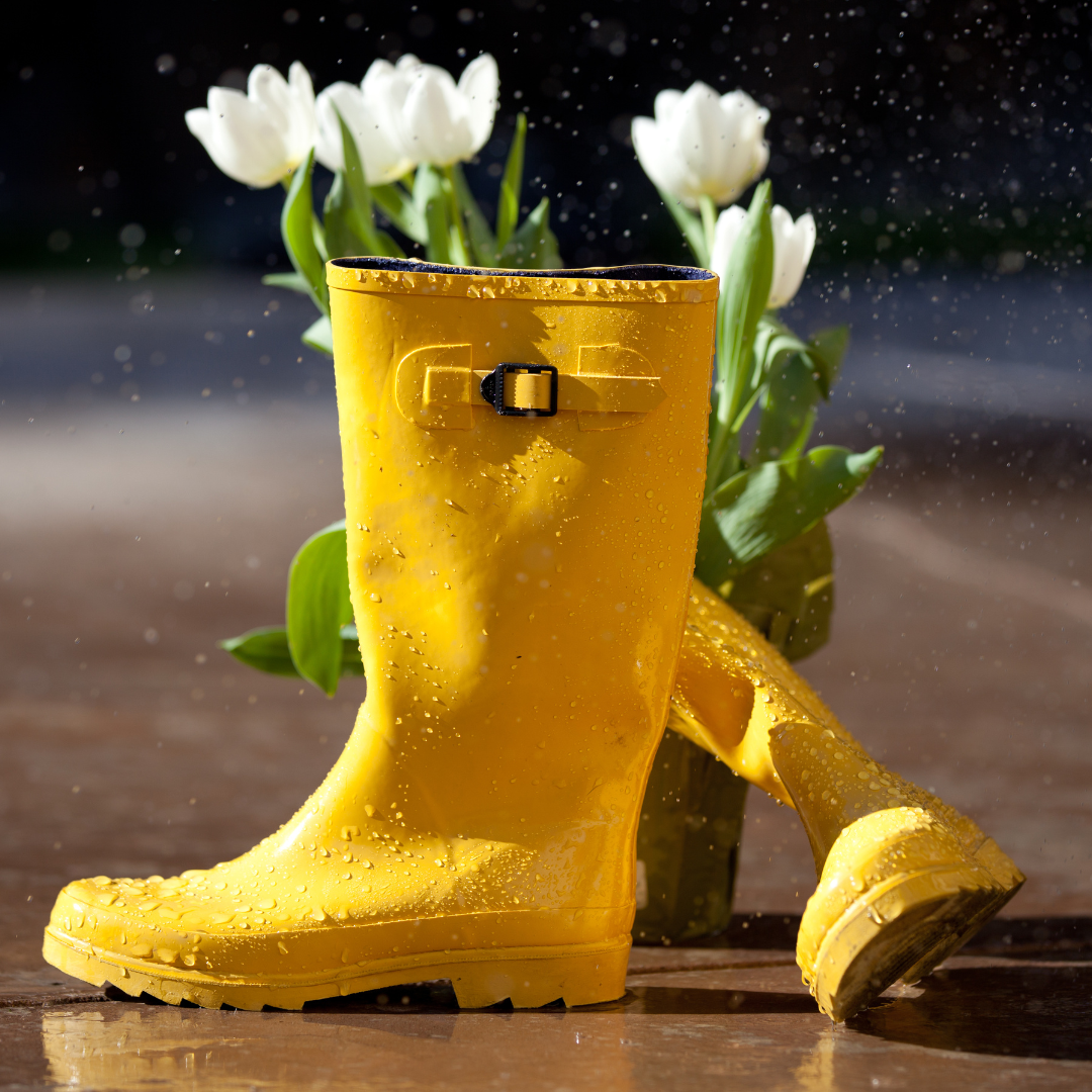 From Stillness to Soil : Welcoming Spring in the Nordic Garden